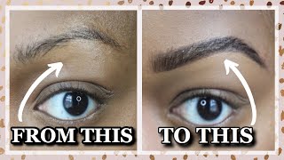 The Best Eyebrow Tutorial For Beginners [upl. by Xuaegram161]