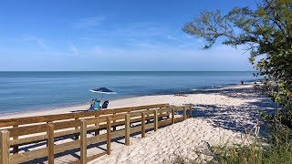 Robbs Wednesday Morning Beach Walk in North Naples Florida 041719 [upl. by Kelwunn]