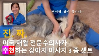 재활 전문 수의사가 추천하는 강아지 마사지 3종 셋트 [upl. by Ahsieit]