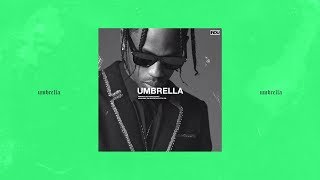 umbrella  p cryptic holy [upl. by Ridgley]