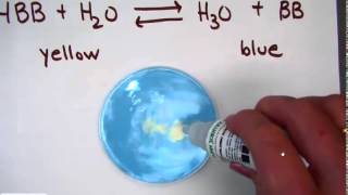 bromothymol blue and Le Chateliers Principle with acidbase equilibrium [upl. by Spancake]