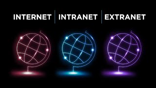 Internet vs Intranet vs Extranet Which is the best [upl. by Nhguaval]