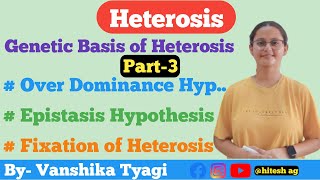 Over Dominance Epistasis and Fixation of Hypothesis Heterosis Part3 [upl. by Erdman189]