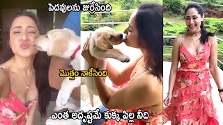 Pragya Jaiswal Kisses With Her Pet Dog  Pragya Jaiswal Latest Video  Cinema Culture [upl. by Atineb676]