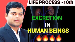 Excretion in Human beings class 10th science 🔥💯🎯✌️ neet science class10th [upl. by Atterbury765]