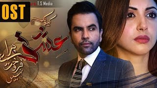 Kyunke Ishq Baraye Farokht Nahi  OST  Aplus  Junaid Khan Moomal Khalid Shehroz Sabzwari  C3N1 [upl. by Ordnaxela852]