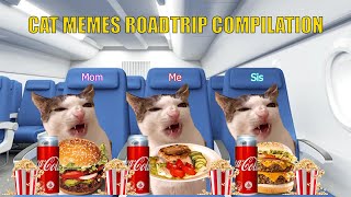 CAT MEMES Roadtrip Compilation [upl. by Platas511]