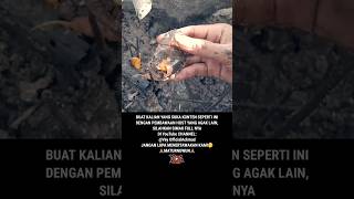 CiriCiri Kepiting Sehabis Molting  Titik Dimana Semua Bagian Kepiting Dapat Dimakan shorts [upl. by Castorina916]