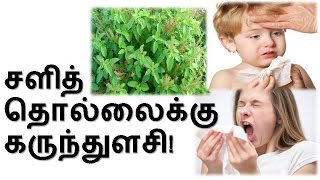 TamilTamil NattuTamil Nattu MaruthuvamTamil Siddha MaruthuvamTamil Natural MedicineSiddha [upl. by Basir]