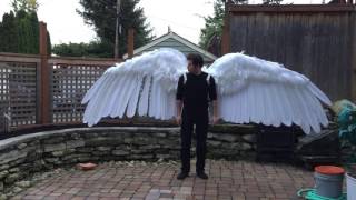 Articulated Pneumatic Wings [upl. by Hluchy328]