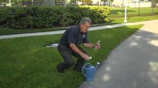 How to Identify Sod Webworm in Your Florida Lawn [upl. by Ykcaj]