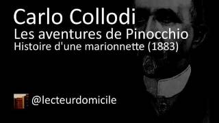 Les aventures de Pinocchio  Carlo Collodi  05 [upl. by Pallua94]