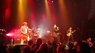 Electric Six  Danger High Voltage Live  Effenaar  Eindhoven Hi Res [upl. by Wehtam912]