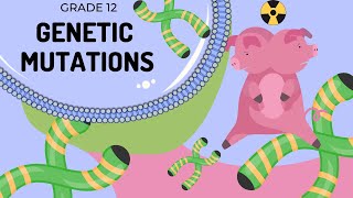 Mutations  Differences between Gene and chromosomal mutations [upl. by Ainola]