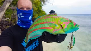 MultiSpecies Fishing On Tropical Island  Maldives Flats Fishing [upl. by Ellehsem]