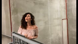 Singing quotHALLELUJAHquot in a Stairwell with EPIC acoustics [upl. by Noret]