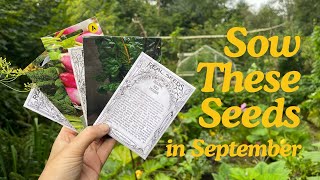 Seeds to Sow in September  Grow Homegrown Food Year Round [upl. by Yarw]