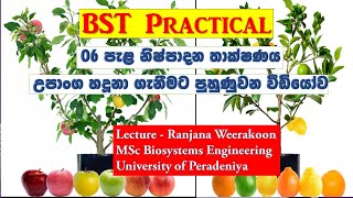 BST ll පැල නිෂ්පාදන තාක්ෂණය 1උපාංග හඳුනා ගැනීමට පුහුණුවන වීඩියෝව ll රංජන වීරකෝන් [upl. by Ahtimat716]