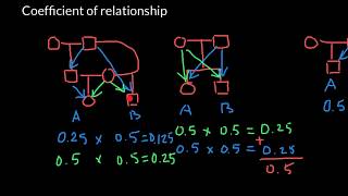 How to Find Coefficient Of Relationship [upl. by Ycniuq]