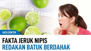 Jeruk Nipis Dapat Sembuhkan Batuk Berdahak Tonton Sampai Habis  Kata Dokter [upl. by Hegyera]