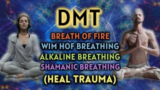 HEAL TRAUMA Anxiety Relieving Breathing Exercises  DMT Breathing 3 Guided Rounds [upl. by Vaules]