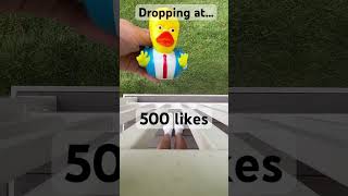 Can we do it PLEASE DONT MAKE ME DROP PEBBLES OFF MY PORCH duck dropping cute like sub [upl. by Eelarbed126]