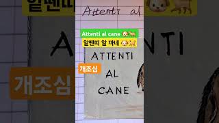 🙋‍♀️에스더와 italian여행 🐶개조심하세요 Attenti al cane italiano cane attenzione attention 쇼츠 Shorts [upl. by Elamor]