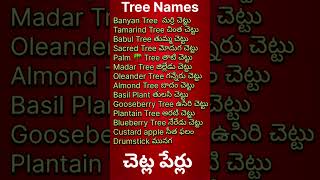 Trees Names In Telugu to English [upl. by Jolynn]