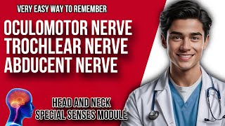 Oculomotor Nerve Trochlear Nerve and Abducent Nerve Anatomy  Cranial Nerves III IV VI  UHS [upl. by Chouest580]