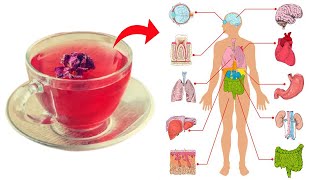 8 Benefits of Drinking Rose Tea Daily and See What Happens to Your Body [upl. by Heymann]