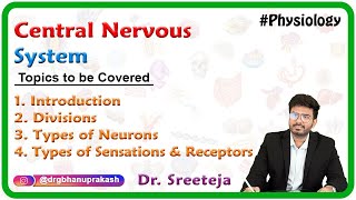 Central nervous system Introduction Divisions Types of neurons Types of sensations and Receptors [upl. by Elleiand]