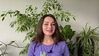 6 Soil Mixtures  Houseplant Guide for Beginners  PLANT CRASH COURSE [upl. by Nosiaj]