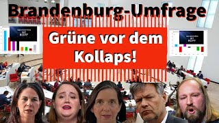 BrandenburgUmfrage Die Grünen vor der VOLLKATASTROPHE [upl. by Ahsinelg826]