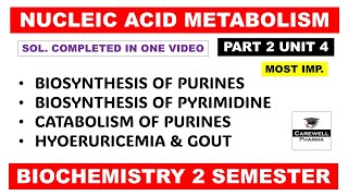 Unit 4 Biosynthesis of Purine and Pyrimidine nucleotides  Gout  Part 2  Biochemistry 2nd sem [upl. by Engeddi]