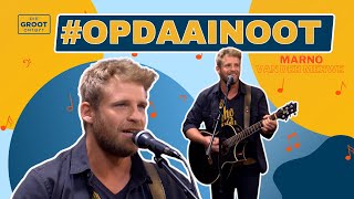 OpDaaiNoot  Marno van der Merwe sing Teiken  11 Maart 2024 [upl. by Bortman]