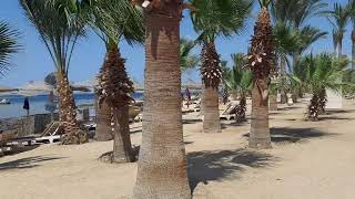 Brayka Bay Reef  Beautiful Beach Marsa Alam  Egypt Resort brayka [upl. by Akiam570]