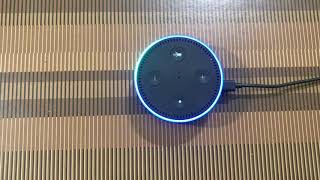 What you can do with Amazon Echo DotAlexa Tamil Version [upl. by Statis]