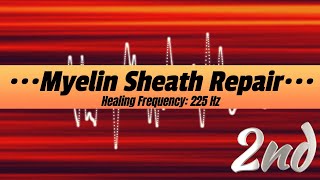 Myelin Sheath Repair 2nd Healing Frequency 225 Hz [upl. by Dnaltiac]