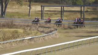 Gayndah 20240608 Race 2 [upl. by Yttak766]