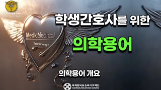 👩‍⚕️ 학생간호사를 위한 의학용어 개요 🩺  기초부터 시작하는 의학용어 강의  AI 기술 활용 [upl. by Flora945]