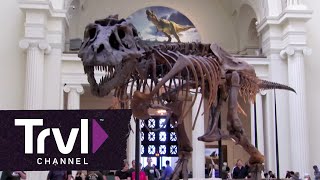 Chicagos Field Museum  Travel Channel [upl. by Nimajaneb]