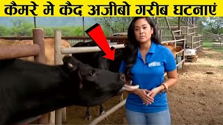 TV पर घटी शर्मनाक घटनाए  Most Embarrassing Moments Caught Live Tv [upl. by Enedan27]