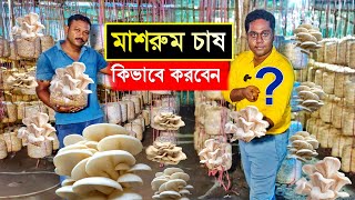 বেকার না থেকে মাশরুম চাষ করে মাসে আয় করুন ৩০০০০ টাকা  Mushroom Farming  Mushroom Cultivation [upl. by Laurens]