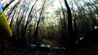 Bayview Conservation Park Redlands The Maze MTB Trail 2500m VLOG 77 [upl. by Addiego]