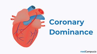 Coronary Dominance [upl. by Atir]