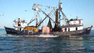 BARCOS SARDINEROS DE YAVAROSwmv [upl. by Egiap976]