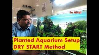 Aquarium Seeds  Does it REALLY work [upl. by Nerag]