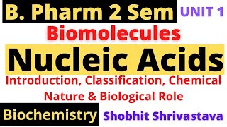 Nucleic AcidsIntroductionClassificationChemistryBiological RoleBiomoleBiochemB Pharm 2 Sem [upl. by Adama109]