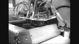 Copper engraving  printing demonstration [upl. by Weidman]