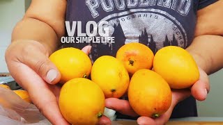 VLOG MONTHLY GROCERY HAUL [upl. by Anilyx]